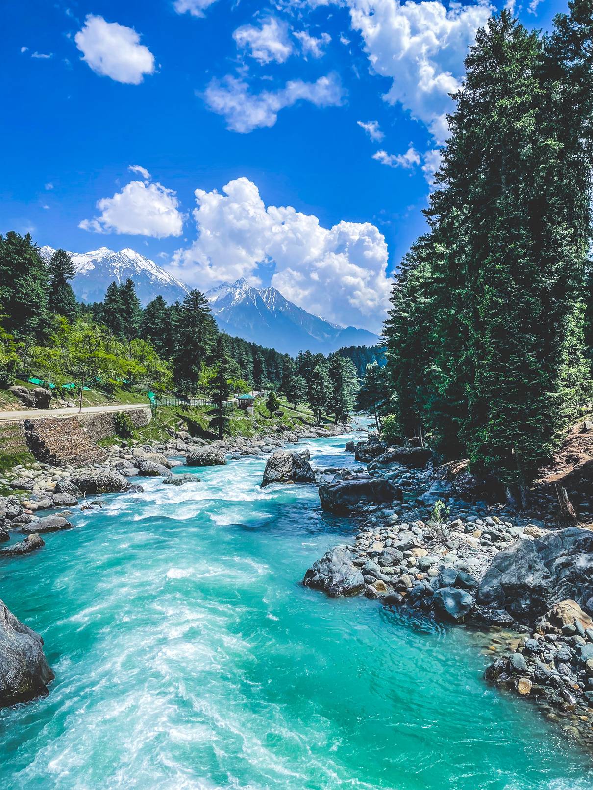 NORTH INDIA & THE HIMALAYAS