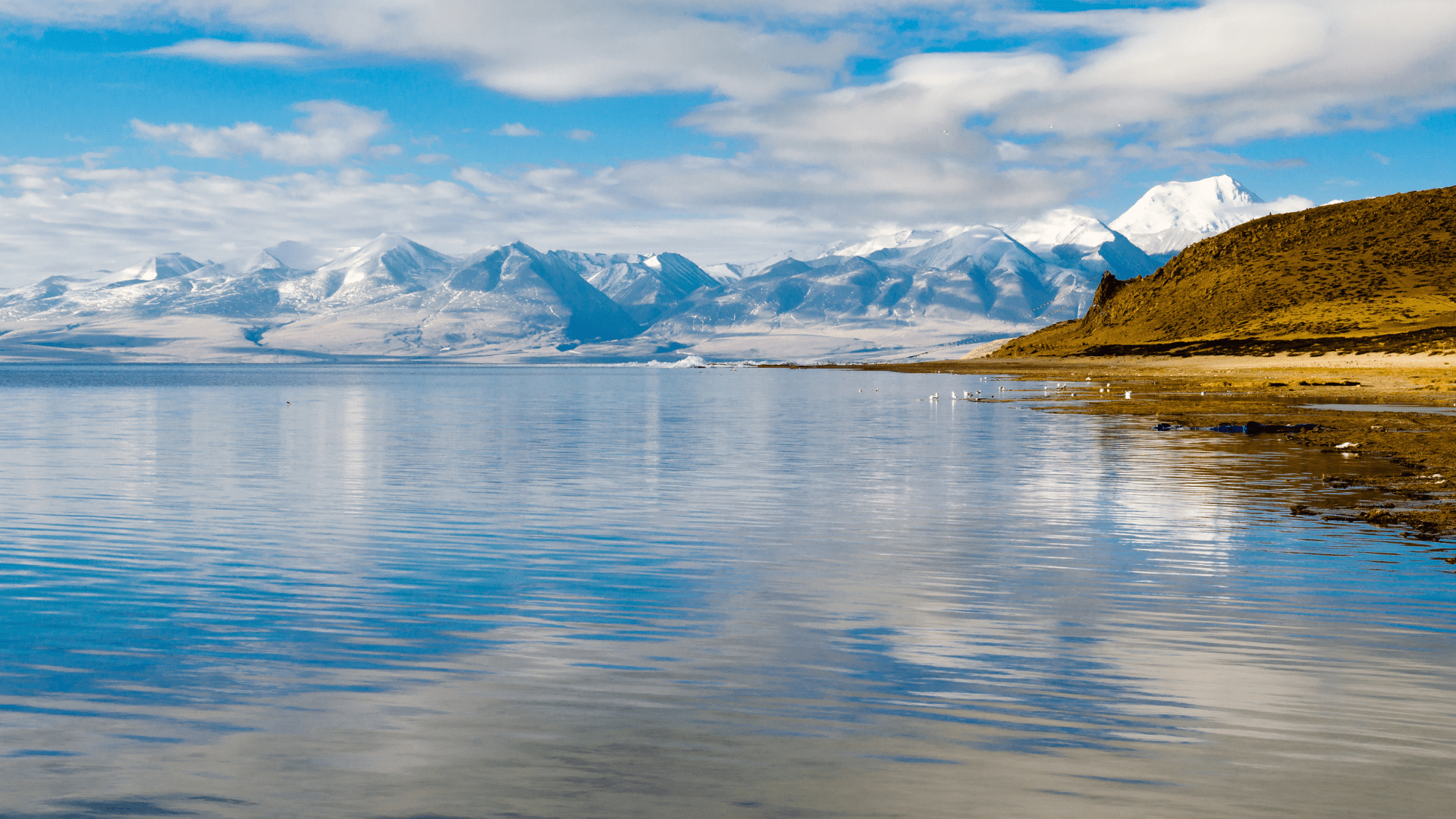 Kailash Mansarovar