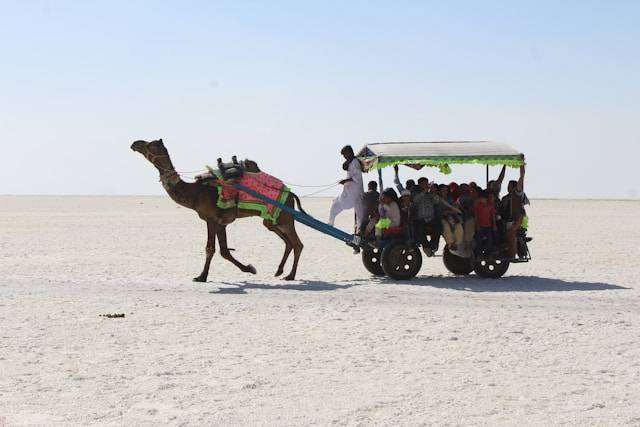 Rann Of Kutch & Rajasthan In Frame