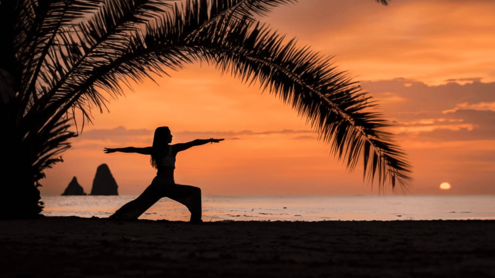 Yoga & Wellness