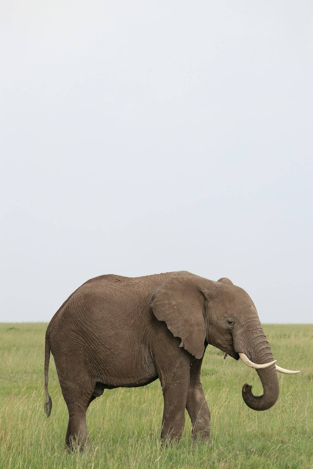 Kenya