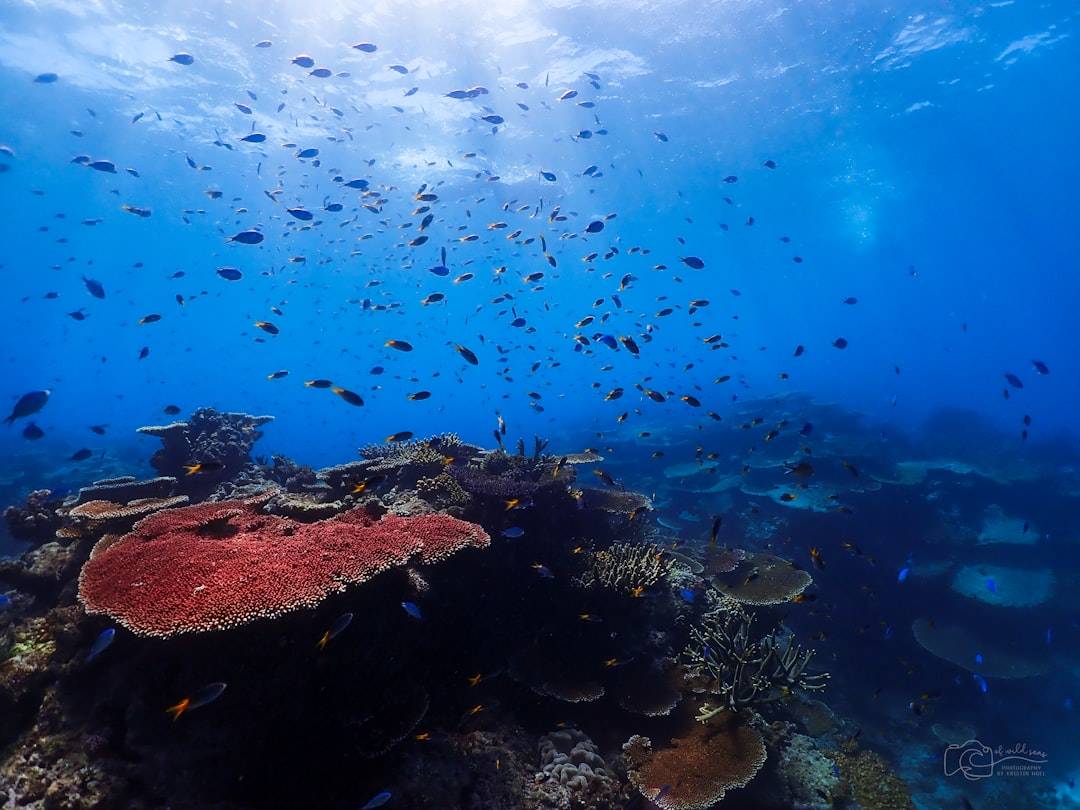 Australia Science and Nature