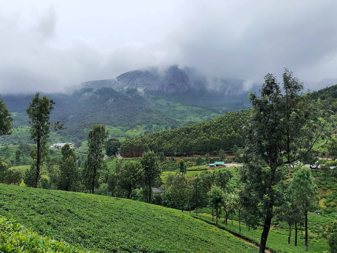 Coorg & Chikmagalur