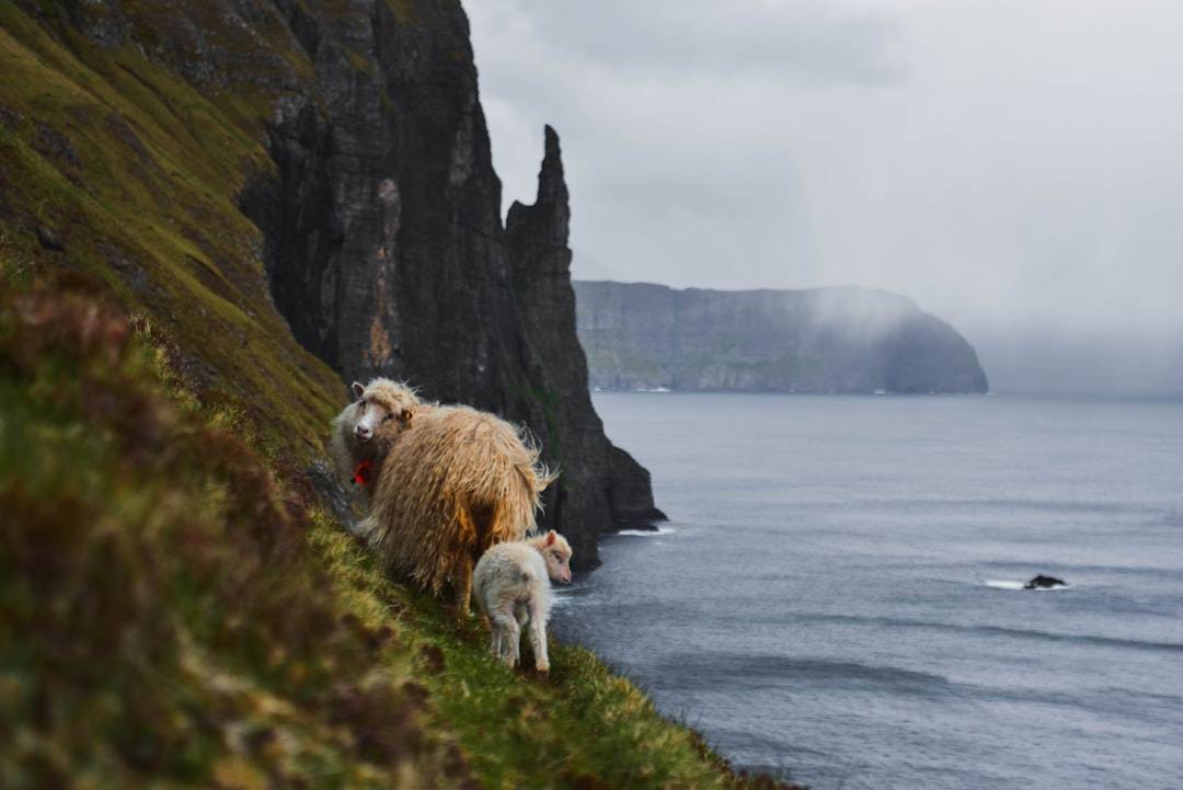Iceland & the Faroe Islands