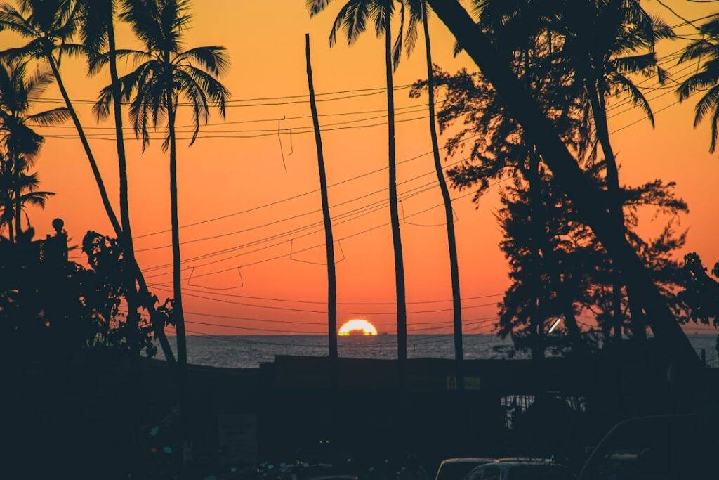 Silhouette of palm trees on a Goa beach at sunset
