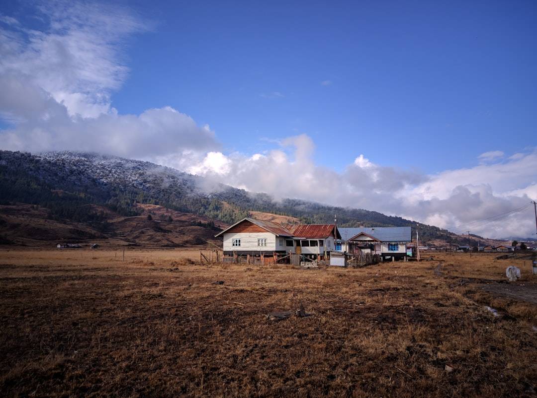 Ziro Festival