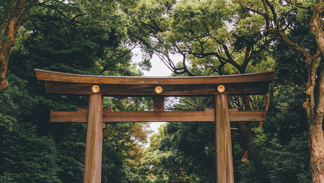 A brown wooden torii gate standing beneath tall trees, the kind travellers walk through at dawn at Meiji Jingu