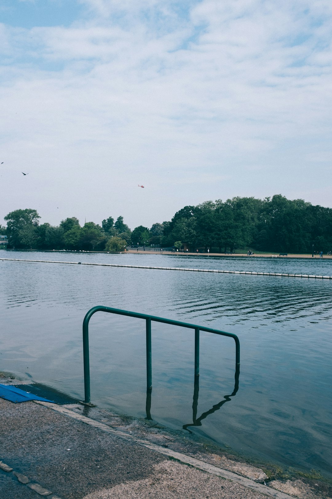 A metal ladder entering a calm, tree-lined swimming pond on Hampstead Heath