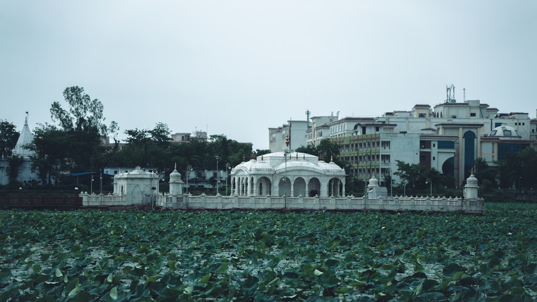 The white marble Jal Mandir temple at Pawapuri standing in its lotus tank